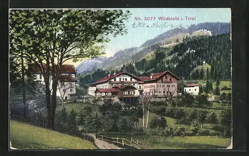 AK Wildbichl i. Tirol, Ortspartie im Gebirge