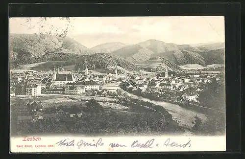 AK Leoben, Panorama der Stadt