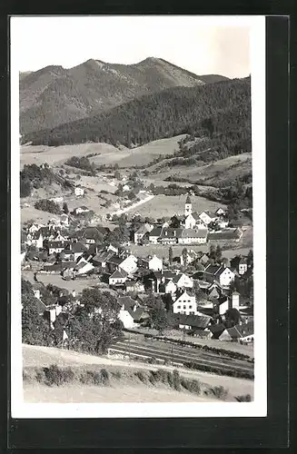 AK Spital am Semmering, Panoramablick von der Bergwiese