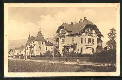 AK Kirchdorf an der Krems, Villen in der Schmideggstrasse