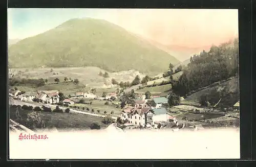 AK Steinhaus, Blick auf die Häuser im Tal