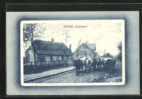 AK Niebüll, Dorfstrasse mit Kühen