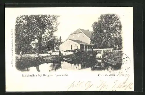 AK Burg / Spreewald, Gasthaus Buschmühle