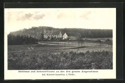 AK Klosterlausnitz i. Thür., Gasthaus und Sommerfrische zu den drei grauen Ziegenböcken