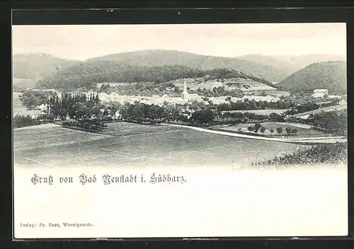 AK Bad Neustadt i. Südharz, Panorama mit Kirche