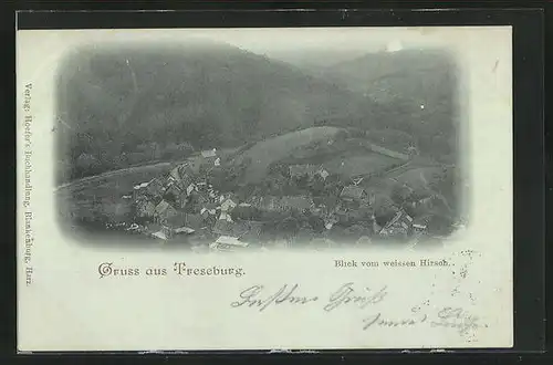 Mondschein-AK Treseburg, Panoramablick vom Weissen Hirsch