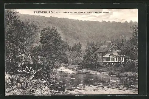 AK Treseburg / Harz, Bodepartie mit Hotel Weisser Hirsch