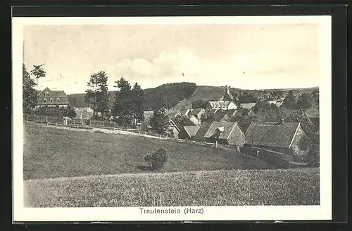 AK Trautenstein / Harz, Ortspanorama