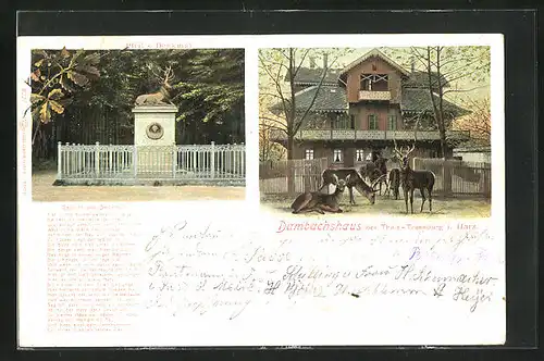 AK Thale-Treseburg /Harz, Pfeil`s Denkmal & Hirsche am Dambachhaus