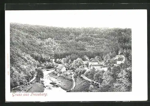 AK Treseburg /Harz, Gesamtansicht