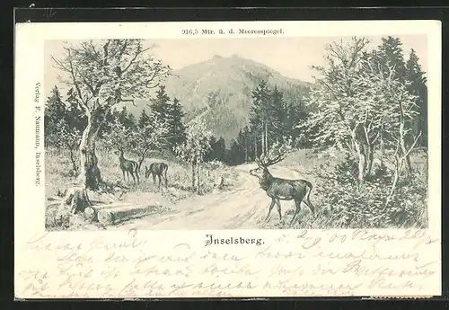 Künstler-AK Inselsberg, Hirsche auf einem Waldpfad