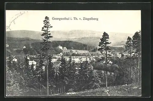 AK Georgenthal i. Th., Panoramablick vom Ziegelberg