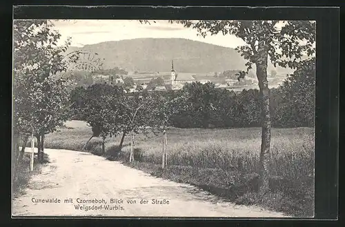 AK Cunewalde, Blick von der Strasse Weigsdorf-Wurbis auf Ort und Czorneboh