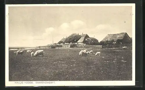 AK Hallig Hooge, Bauernhäuser der Bakkenwerft