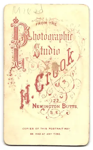 Fotografie H. Crook, London, Newington Butts, Brustportrait bürgerliche Dame mit Kragenbrosche und Halskette