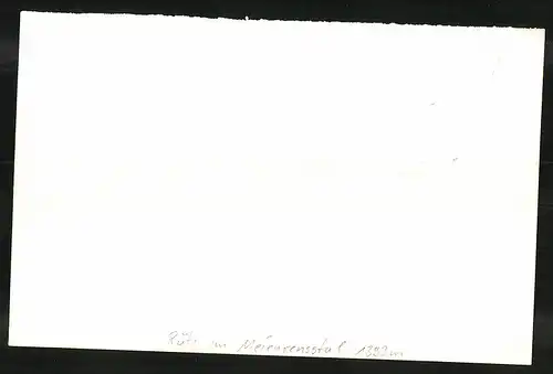 Fotografie Fotograf unbekannt, Ansicht Rüti / Zürich, Ortspartie mit Wohnhäusern