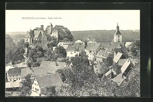 AK Hohnstein, Blick auf das Schloss Hohnstein