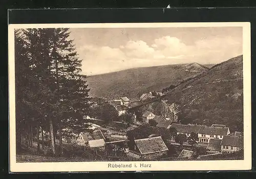 AK Rübeland i. Harz, Teilansicht