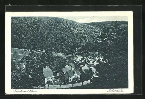 AK Treseburg i. Harz, Teilansicht