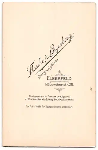 Fotografie Flascher & Lingenberg, Elberfeld, Mäuerchenstr. 26, Portrait Mann im Anzug mit Fliege und Walrossbart