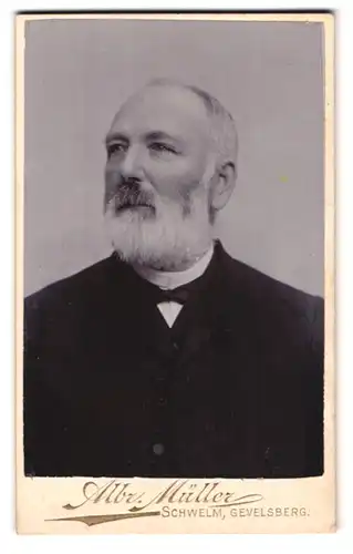 Fotografie Albr. Müller, Schwelm, Portrait älterer Mann mit Vollbart im Anzug samt Fliege