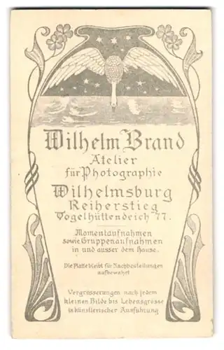 Fotografie W. Brand, Wilhelmsburg, Reiherstieg, rück. Schwan unter Sternenhimmel, Jugendstil, vorder. Porträt junge Frau