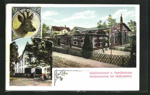 AK Wolfenbüttel, Waldrestaurant und Pensionshaus Antoinettenruh, Mehrfachansicht