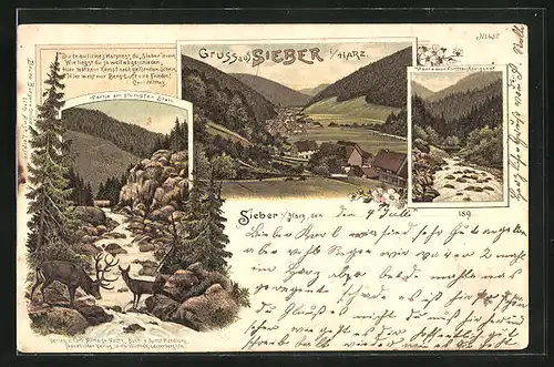 Lithographie Sieber i / Harz, Teilansicht, Partie beim Forsthaus Königsof, Partie am stumpfen Stein