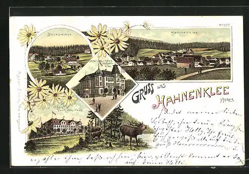 Lithographie Hahnenklee i / Harz, Hôtel und Kurhaus Hahnenklee, Hôtel Deutsches Haus, Bockswiese