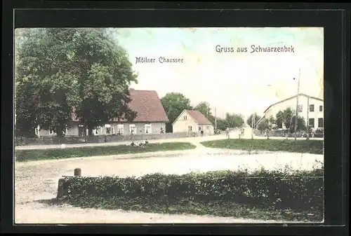 AK Schwarzenbek, Möllner Chaussee mit Häusern