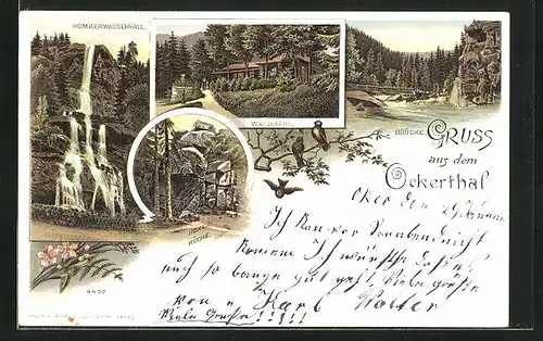 Lithographie Oker, Gasthaus Waldhaus, Hexenküche, Romkerwasserfall