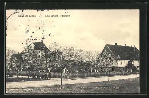 AK Seesen / Harz, Amtsgericht und Forstamt