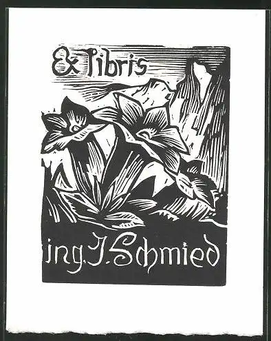 Exlibris Ing. J. Schmied, Tulpe