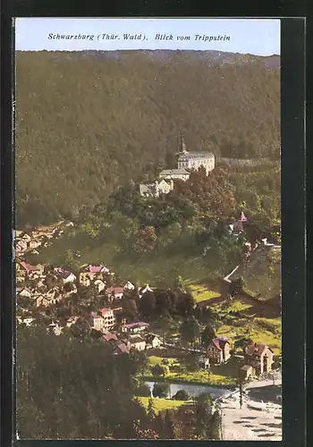 AK Schwarzburg i. Thür. Wald, Blick vom Trippstein