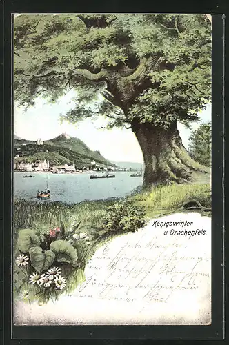 AK Königswinter, Ortsansicht mit Drachenfels