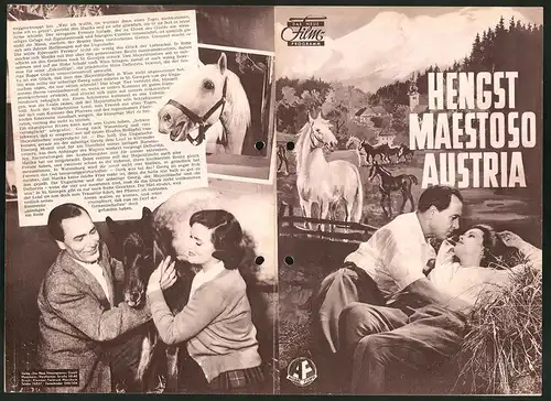 Filmprogramm DNF, Hengst Maestoso Austria, Paul Klinger, Nadja Gray, Rolf Kutschera, Regie Hermann Kugelstadt