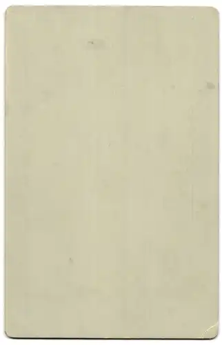 Fotografie G. Schubert-Engelmann, Freiberg, Portrait junge Dame mit zurückgebundenem Haar
