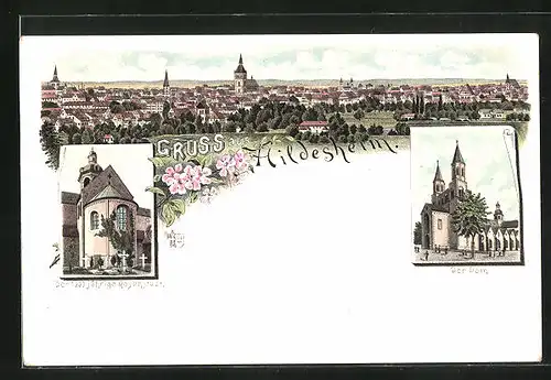 Lithographie Hildesheim, Der 1000 jährige Rosenstock, Dom, Totalansicht