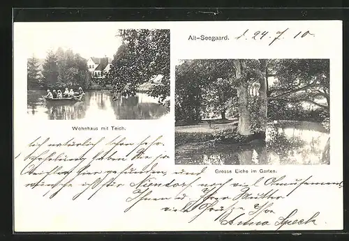 AK Husby, Alt-Seegaard, Grosse Eiche im Garten, Wohnhaus mit Teich