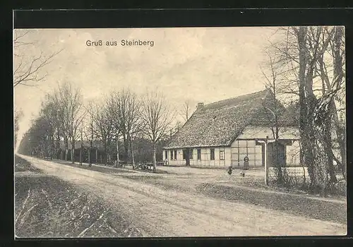 AK Steinberg / Angeln, Strassenpartie mit Bauernhaus