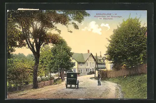 AK Braunlage / Harz, Gasthof Waldmühle im Oberharz