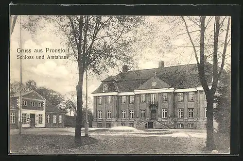AK Pronstorf, Schloss mit Amtshaus