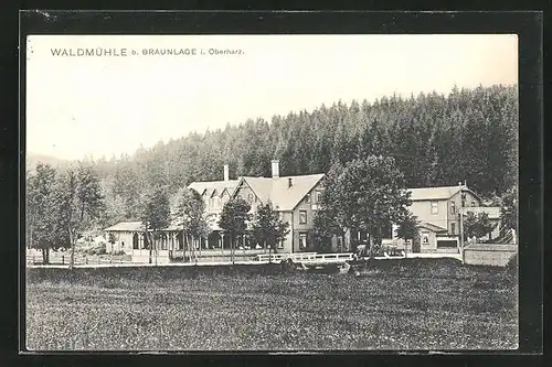 AK Braunlage i. Oberharz, Waldmühle