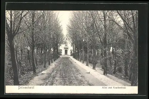 AK Delmenhorst, Allee und Krankenhaus