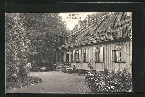 AK Springe, Gasthaus Cöllnischfeld