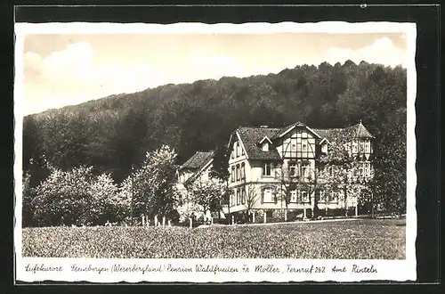 AK Steinbergen / Weserbergland, Pension Waldfrieden, Aussenansicht