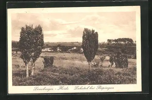 AK Bispingen, Luhetal in der Lüneburger Heide
