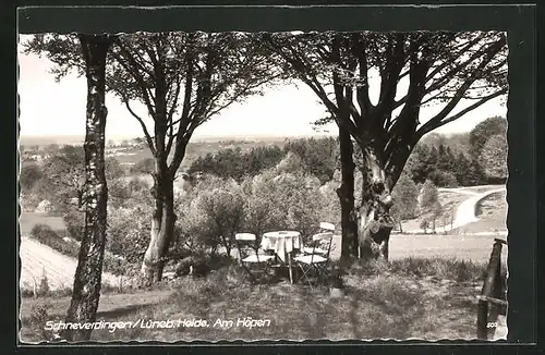 AK Schneverdingen /Lüneburger Heide, Am Höpen, Blick ins Tal