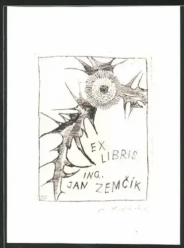 Exlibris Ing. Jan Zemcík, Pusteblume