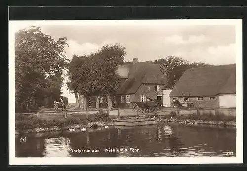 AK Nieblum a. Föhr, Dorfpartie am Teich